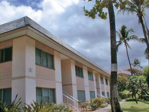 Global Adventures | Resort Directory Vacation Internationale - Kihei Kai  Nani